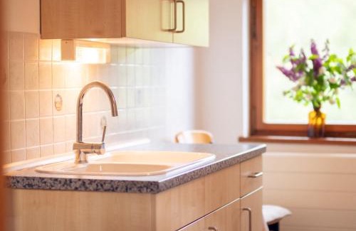 Hartenstein Apartment | Gartentraum, Feuergrill, Kids-Spielwelt, 4Räume