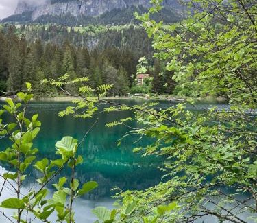 Flims Hotel | Gasthaus Crestasee