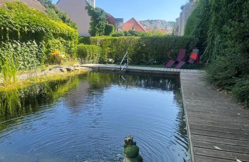 Hainburg an der Donau Hotel | Gasthof zum Goldenen Anker