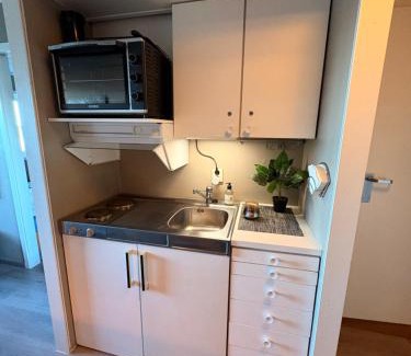 Gautefall Apartment | Gautefall Ski inn-Ski out