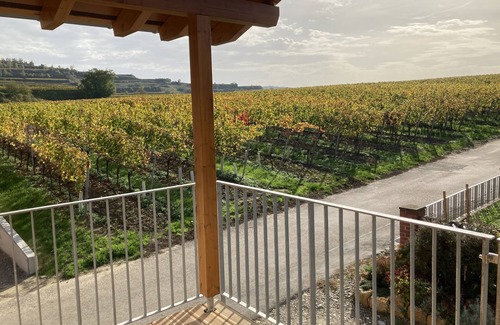 Bischoffingen Apartment | Gemütliches Chalet im Herzen des Kaiserstuhls