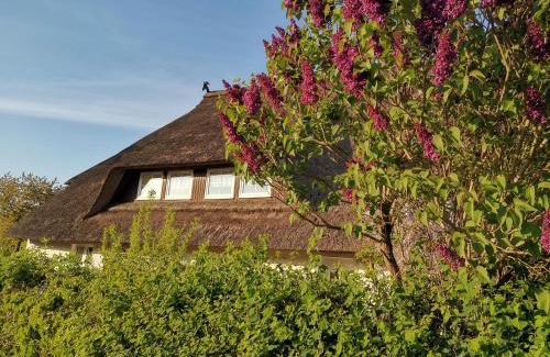 Stove Apartment | Gemütliche Ferienwohnung unterm Reetdach