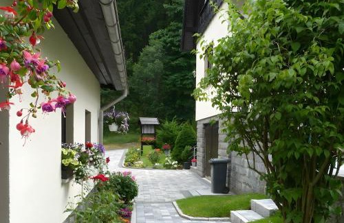 Holzhau Apartment | Gemütliche Ferienwohnung in Holzhau
