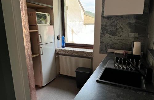 Brohl-Lutzing Apartment | Gemütliche FeWo im 1OG im Haus zur Vulkaneifel Brohl