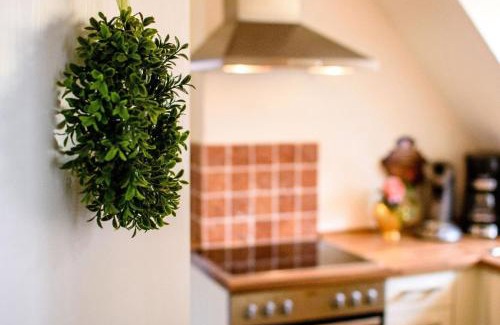Bracht Apartment | Gemütliche Wohnung in Bracht mit Garten
