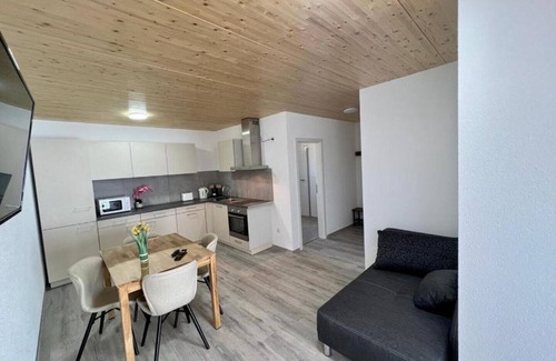 Gottmadingen Apartment | Gemütliches GrenzAparment - Suite mit großer Dachterrasse (4Personen)