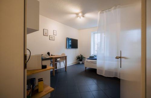 Biel Apartment | Gemütliches Studio im Stadtzentrum