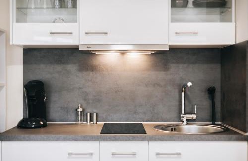 Fernesiechen Apartment | Gentilly Apartments Freiberg