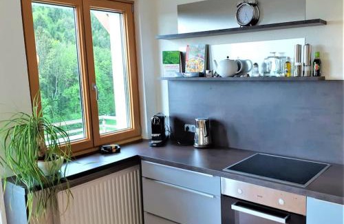 Krottendorf-Gaisfeld Apartment | Genuss Appartement am Familien Weingut