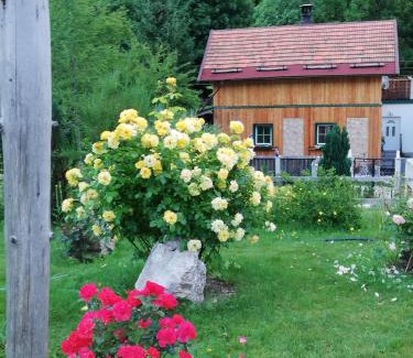 Altaussee House | Georges Rast