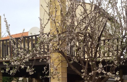 Pera Chorio Apartment | GEORGES VILLA CYPRUS