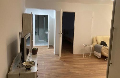 Grenzach-Wyhlen Apartment | Geräumige Wohnung bei Basel