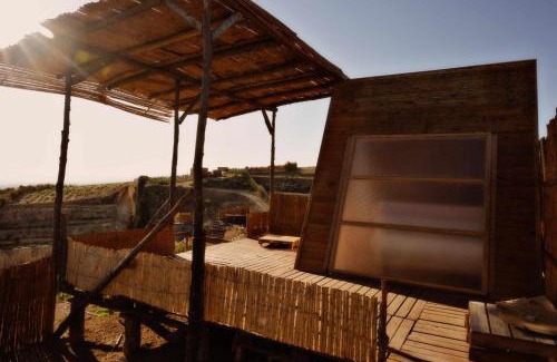 Aousja Other | Ghar El Melh Outdoors