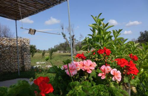 Lizzanello House | giardino del tempo