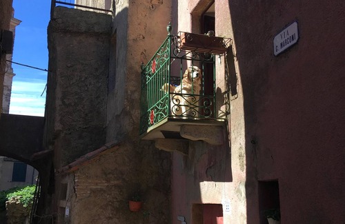 Giglio Castello Apartment | Giglio Island, spacious and cozy apartment in the medieval village of Castello