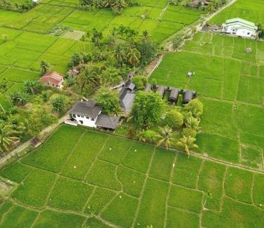 Bohorok Resort | Gino's Place - Guest House & Jungle Trekking
