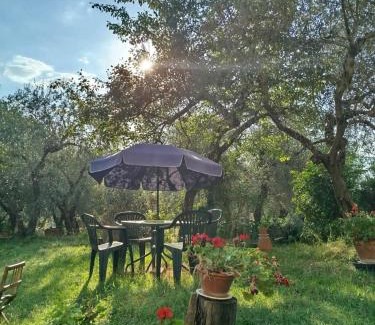 Palazzone House | Giovanna 's House