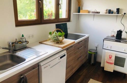 Bischwiller House | Gite du Ried