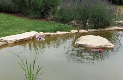 Condat-sur-Vezere House | Gite en Perigord, chez Lydia