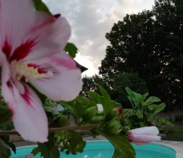 Montceau-les-Mines Bed & Breakfast | Gite meublé et Chambre d'hôtes LE PUITS DARCY