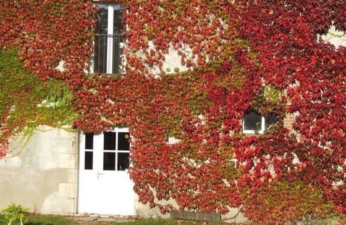 Ouzouer-sur-Trezee Cottage | Gite Ouzouer-sur-Trézée, 3 bedrooms, 8 persons