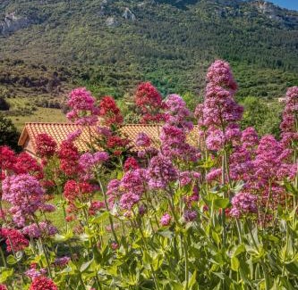 Rouffiac-des-Corbieres Ski Chalet | Gites Les Casots