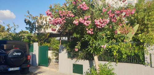 Santa Caterina Apartment | Giu&Giu