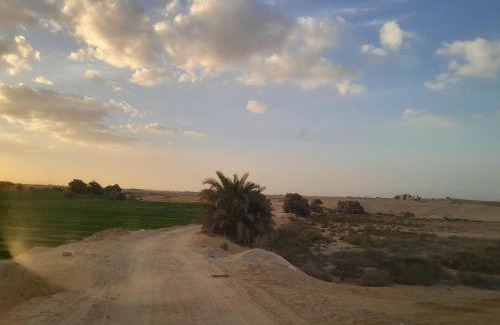 Al Fayoum House | Giza Oasis Ein Koudra