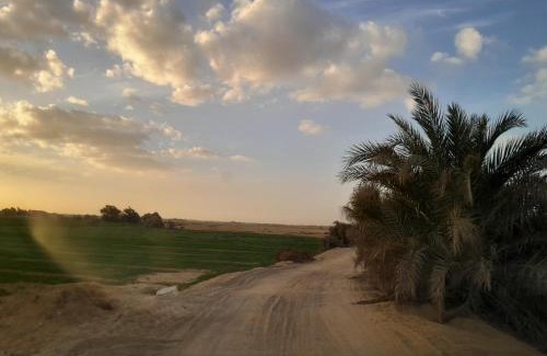 Al Fayoum House | Giza Oasis Ein Koudra