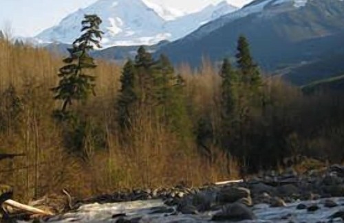 Warnick Cabin | Glacier Springs Cabin #60 - Hot Tub - BBQ - WiFi - Sleeps 2