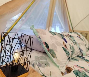 Zeehan Other | Glamping at Zeehan Bush Camp