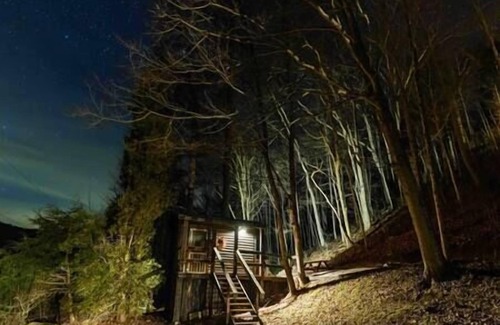 Lynx Cabin | Glamping Cabin | Huge Window | Nature Lovers Dream