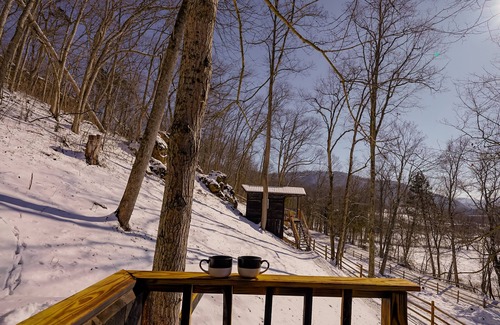 Lynx Cabin | Glamping Cabin | Huge Window | Valley and Cliff Views