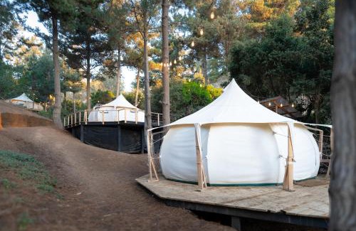 Navidad Other | Glamping de Matanzas