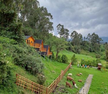 Machachi Other | Glamping El Reencuentro