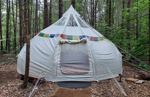 Belfair RV Rental | Glamping in the magical forest of Elfendahl.