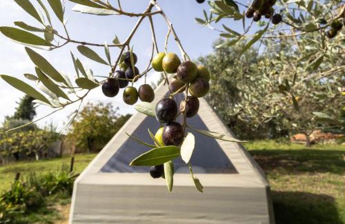 Collesalvetti Other | Glamping la lodola