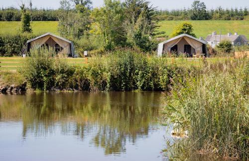 Jamestown Other | Glamping Safari Style