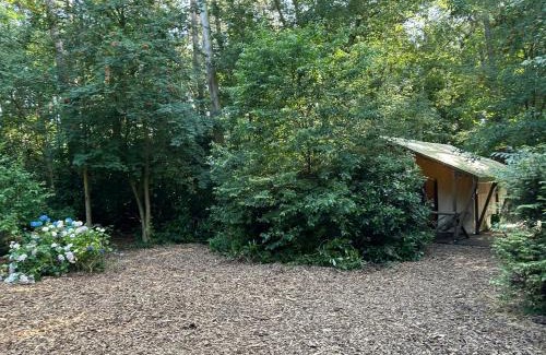 Zedelgem Other | Glampingtent Bosgenot