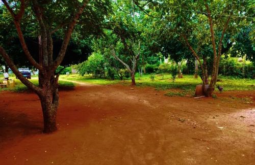 Yelagiri Hotel | Glass House By Cloud9Villa Resorts