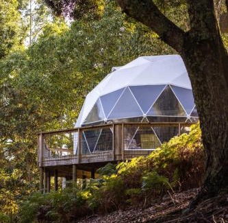 Riana Other | Gleneagle Tasmania