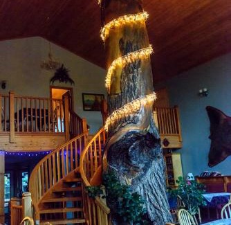 Golden Cabin | Glenogle Mountain Lodge and Spa