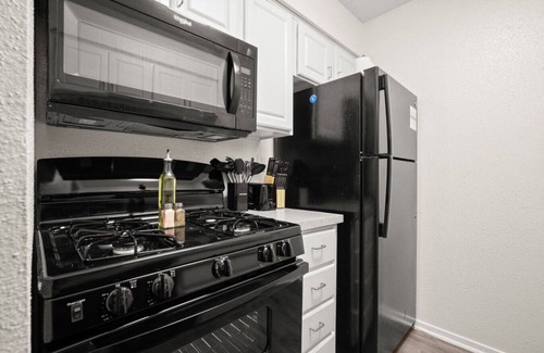 Skyview Apartment | Glowing Green Studio - Great for ACL, F1, and More