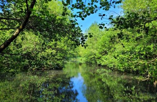 Lampeter Other | Go Eco Glamping