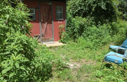 Telogia Cabin | Goat House Farm Stay Little Coop