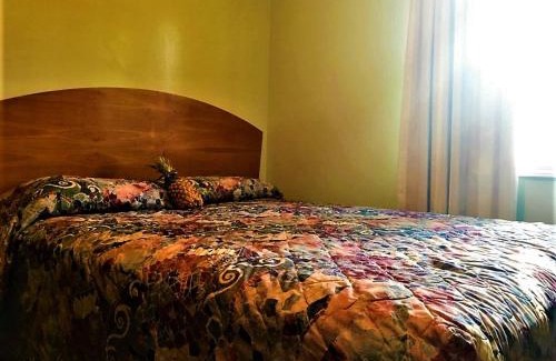 Oscoda Hotel | Gold Coast Family Cottages