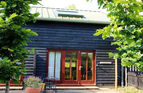 East Tisted Cottage | Goldridge - a cottage that sleeps 4 guests in 1 bedroom