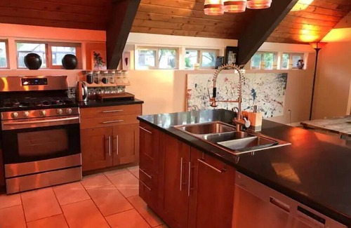 Okemos House | Gorgeous MidCentury Modern Designer Home