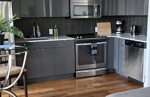 Downtown Winnipeg Apartment | Gorgeous 2 bed sleeps 5 w/surreal view downtown laundry wifi