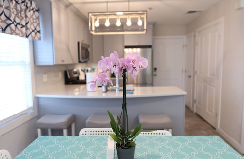 Nutley Apartment | ★GORGEOUS STYLISH APT Close to American Dream & NYC★